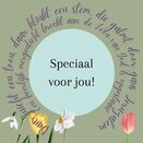 paasactie_2024